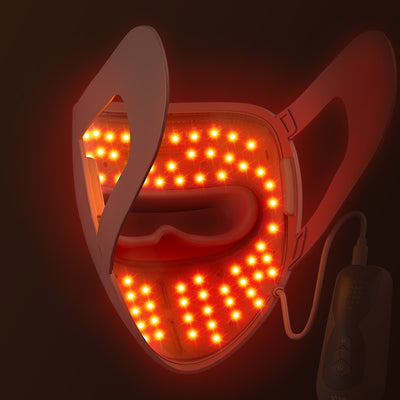 Rechargeable Color Light Led Skin Rejuvenation Beauty Mask